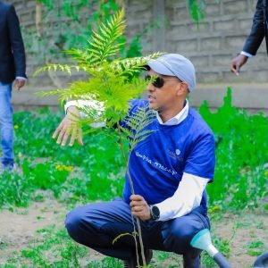 Summer Volunteer Tree Planting Conducted at Haroorays Secondary School