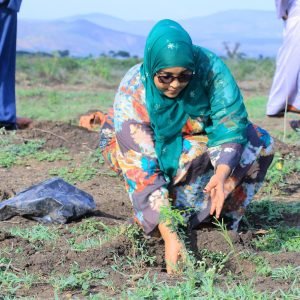 Native Tree Restoration Initiative Launched in Gursum District