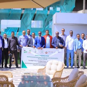 The Right Tree, The Right Place, The Right Purpose (RTP-IKI Project) Management Awareness Workshop Held in Jigjiga